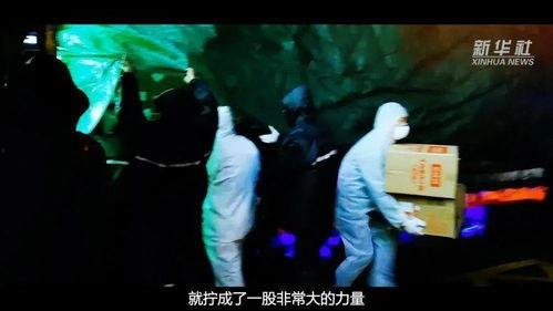 国产黄金重口视频调教,揭秘极致诱惑背后的调教艺术