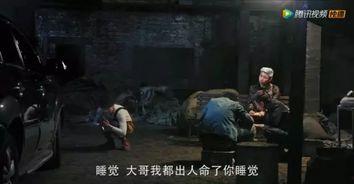 国产乱子伦普通对话视频vk,揭秘网络社交背后的真实情感