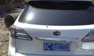 国产车换标视频大全集,视频大全集深度解析