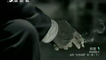 国产双面间谍视频讲解,视频解析背后的惊心动魄